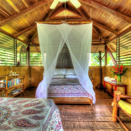 Iguana Lodge Beach Resort Puerto Jiménez Dış mekan fotoğraf