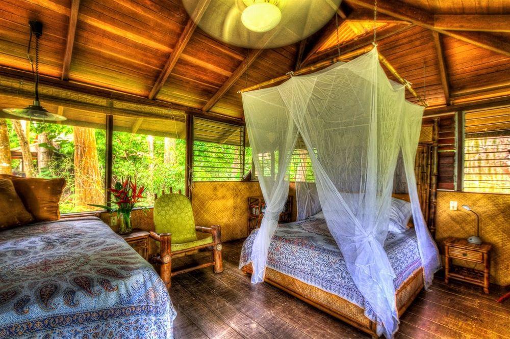 Iguana Lodge Beach Resort Puerto Jiménez Dış mekan fotoğraf
