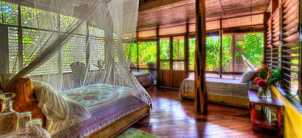 Iguana Lodge Beach Resort Puerto Jiménez Dış mekan fotoğraf