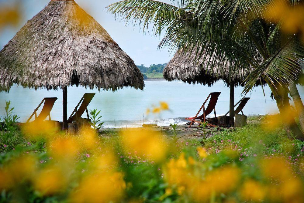 Iguana Lodge Beach Resort Puerto Jiménez Dış mekan fotoğraf