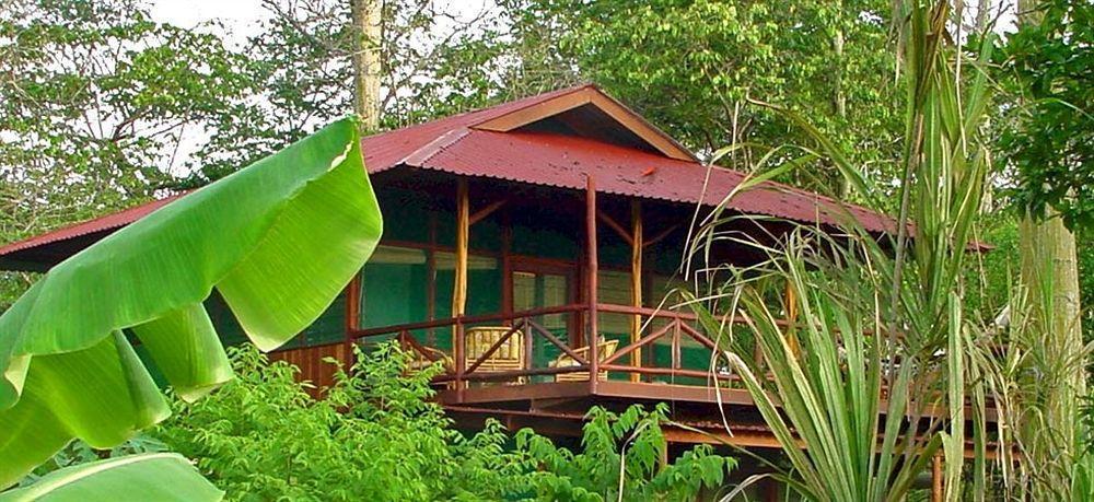 Iguana Lodge Beach Resort And Spa Puerto Jiménez Dış mekan fotoğraf